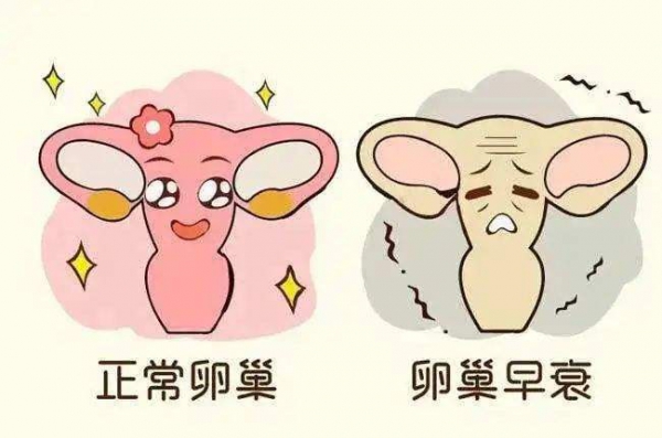引起卵巢早衰的元兇竟然是日常不起眼的小事！