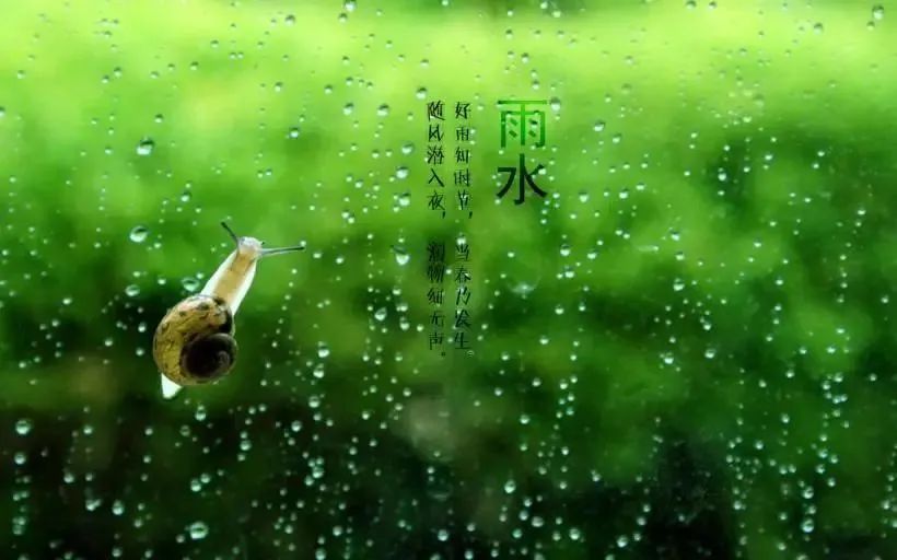 “雨水”來了，注意健脾祛濕防春寒，保健養(yǎng)生這么做！