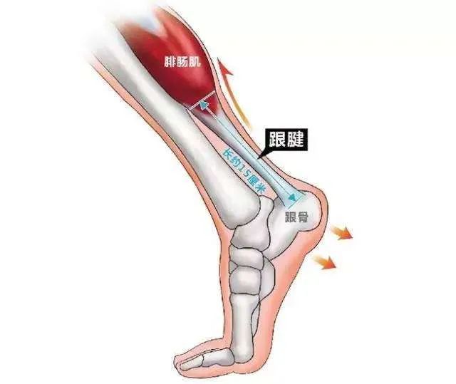風(fēng)濕類疾病你了解多少？