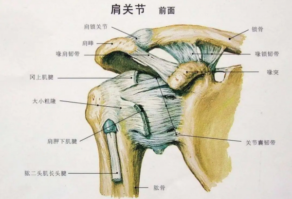 給愛打麻將的人一個養(yǎng)生理由：適度搓麻，延緩認知衰退！