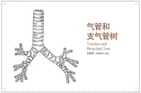 喉嚨里總有痰，痰多還吐不完？可能是這里出了問題，別不當(dāng)回事！