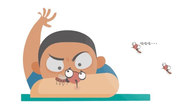 蚊子為啥總叮你？學(xué)會(huì)這招，夏天不再怕蚊子咬了？
