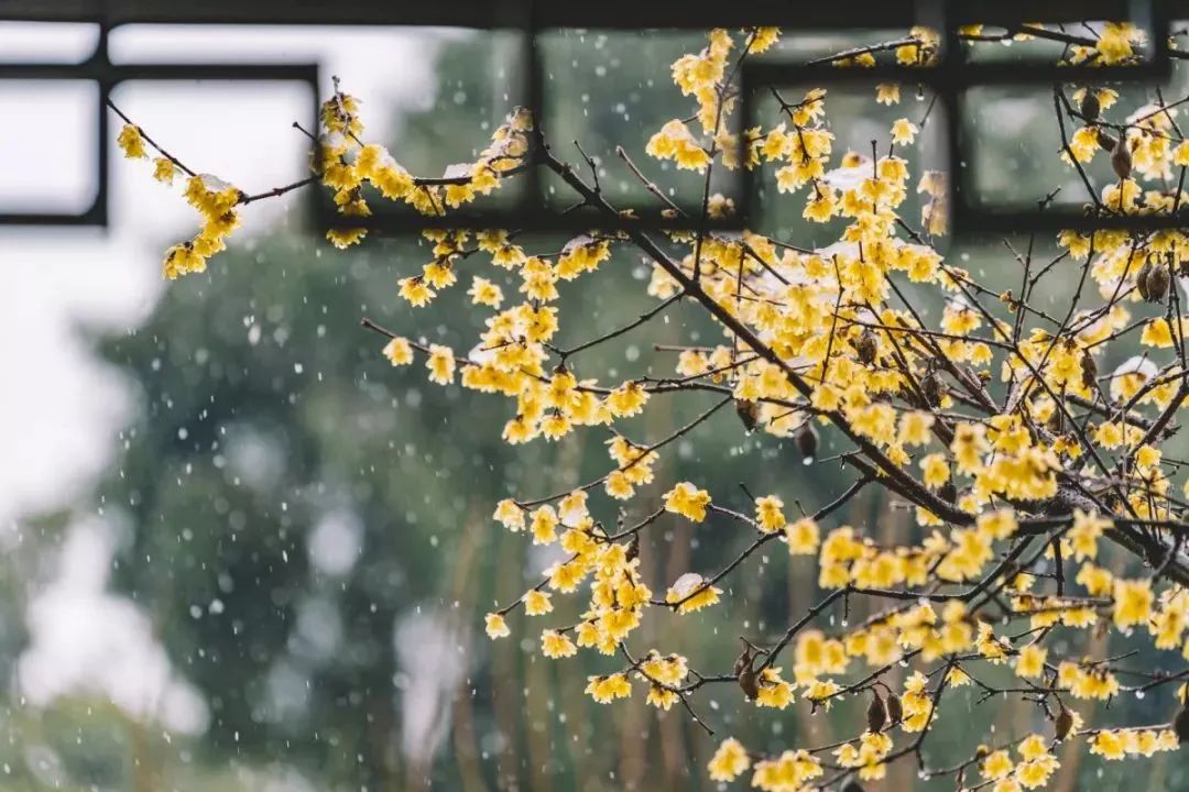 小寒，全年最冷的節(jié)氣！中醫(yī)教你正確調(diào)養(yǎng)身體