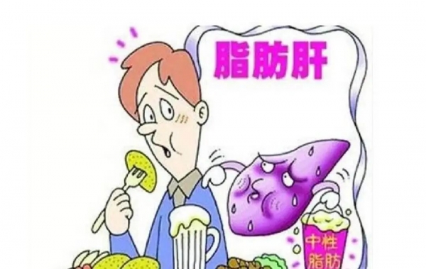 體檢查出輕度脂肪肝？想要逆轉(zhuǎn)需要做到這幾點(diǎn)