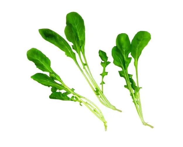 野菜嘗鮮季，這些抗癌“潛力股”您吃對(duì)了嗎？